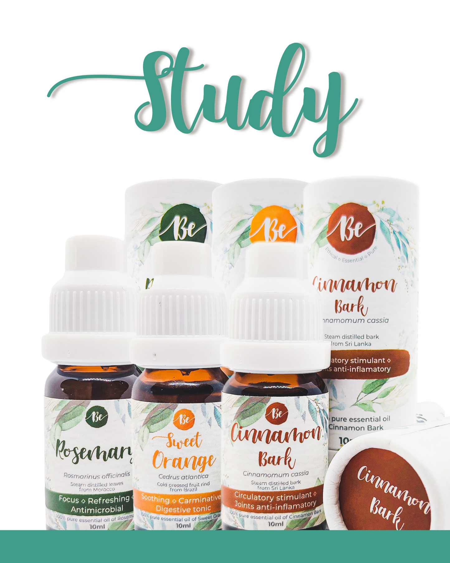 Study Collection