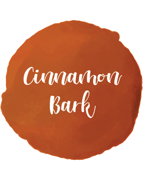 Cinnamon Bark Essential Oil 10ml