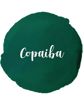 Copaiba Essential Oil 10ml