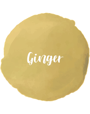 Ginger Essential Oil 10ml