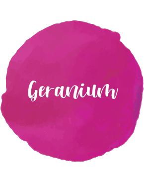 Geranium Essential Oil 10ml