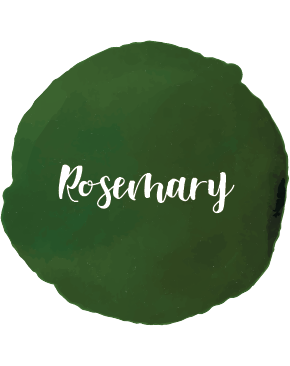 Rosemary Essential Oil 10ml