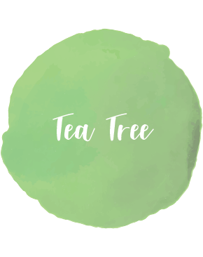 Tea Tree Essential Oil 10ml