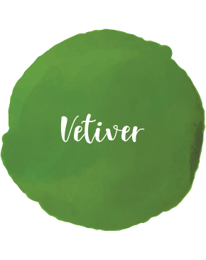 Vetiver Essential Oil 10ml