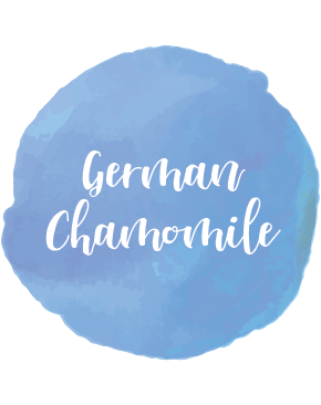 German Chamomile (Blue) Essential Oil 10ml